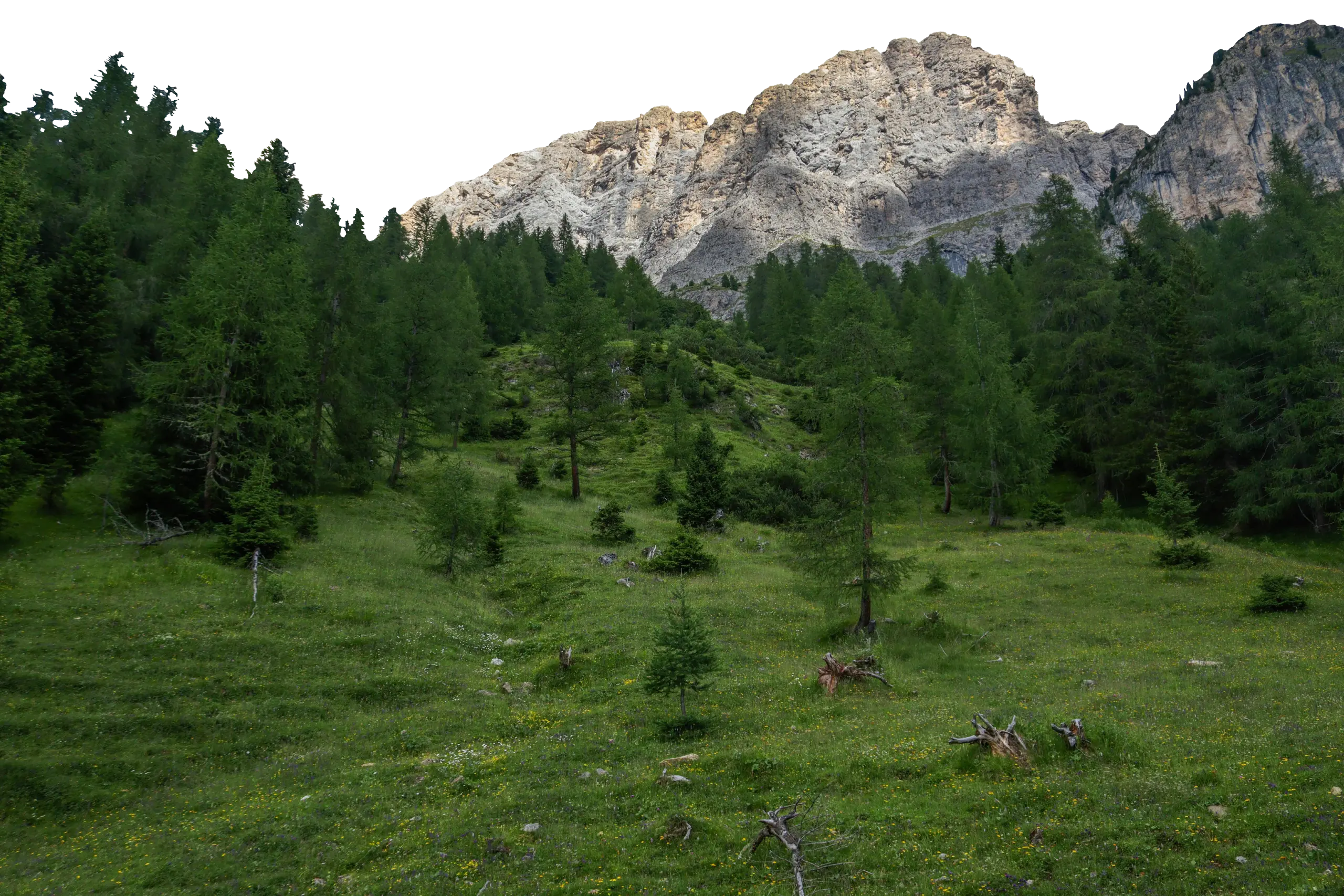 Mountain landscape